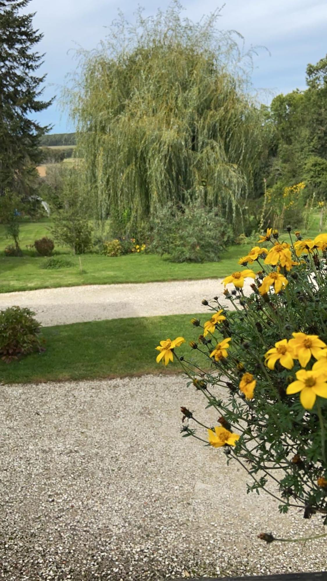 Pivoine Chambre D Hotes Fralignes Exteriér fotografie