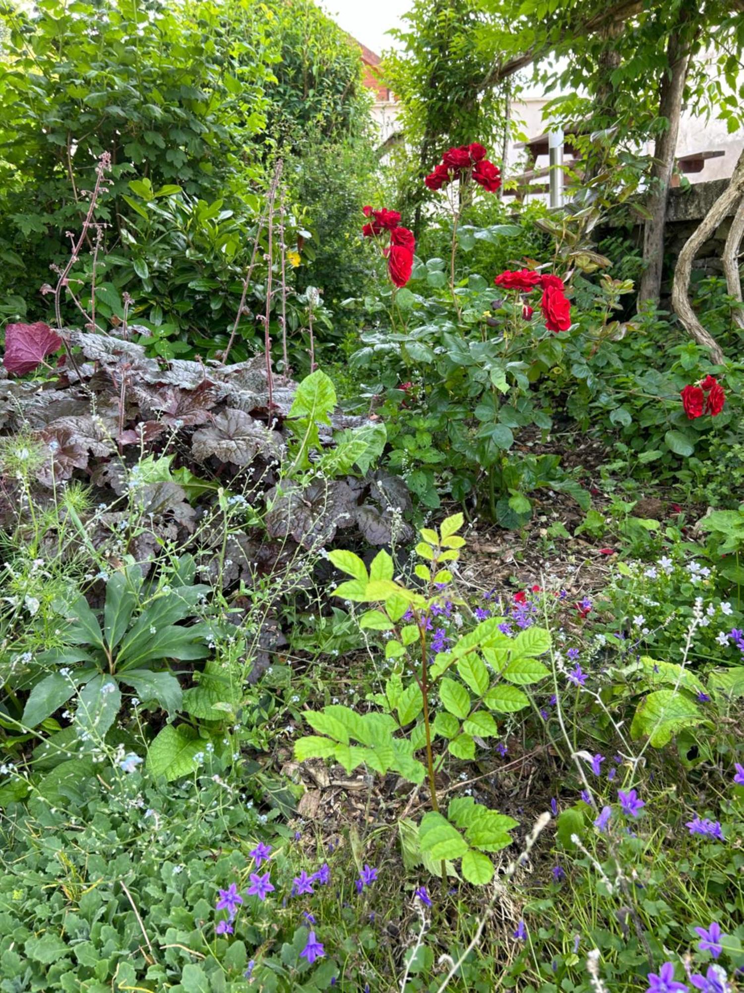 Pivoine Chambre D Hotes Fralignes Exteriér fotografie